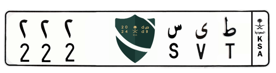 لوحة ط ى س 222